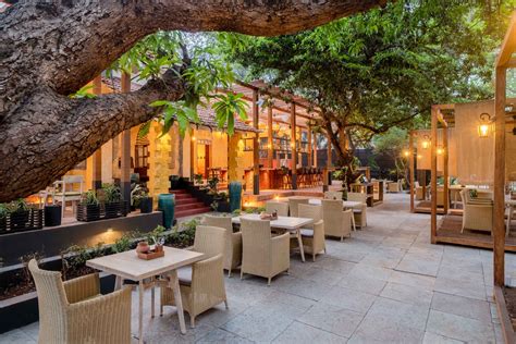 VILLAGE CAFE .